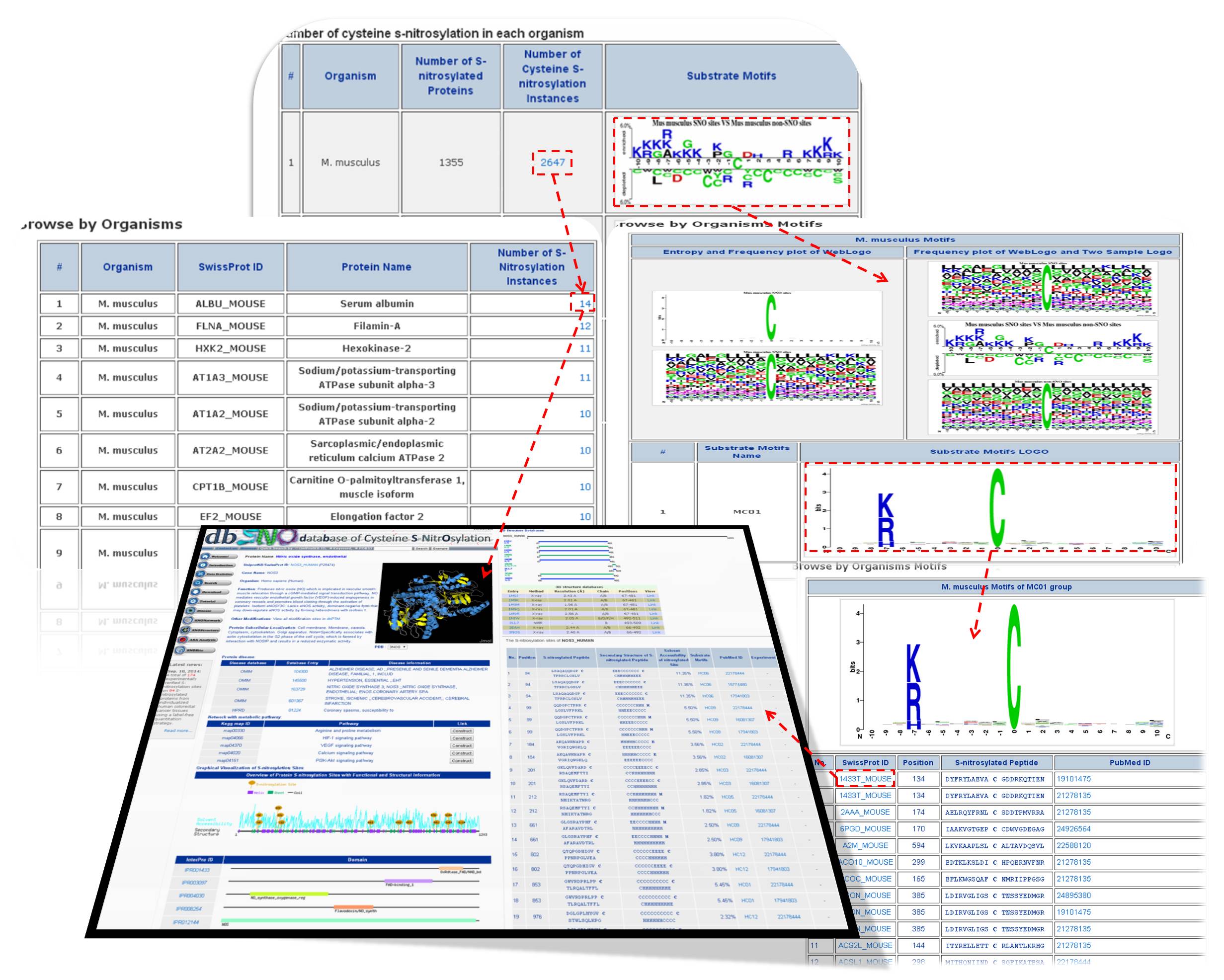 Data Statistics Step 2