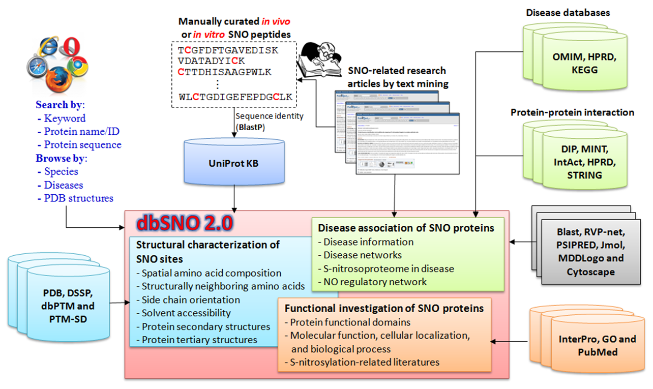 System flow of dbSNO 3.0