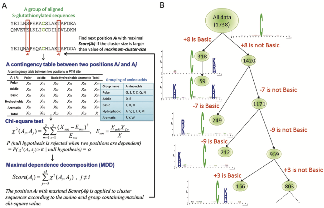 Prediction framework of GSHSite for S-glutathionylation sites