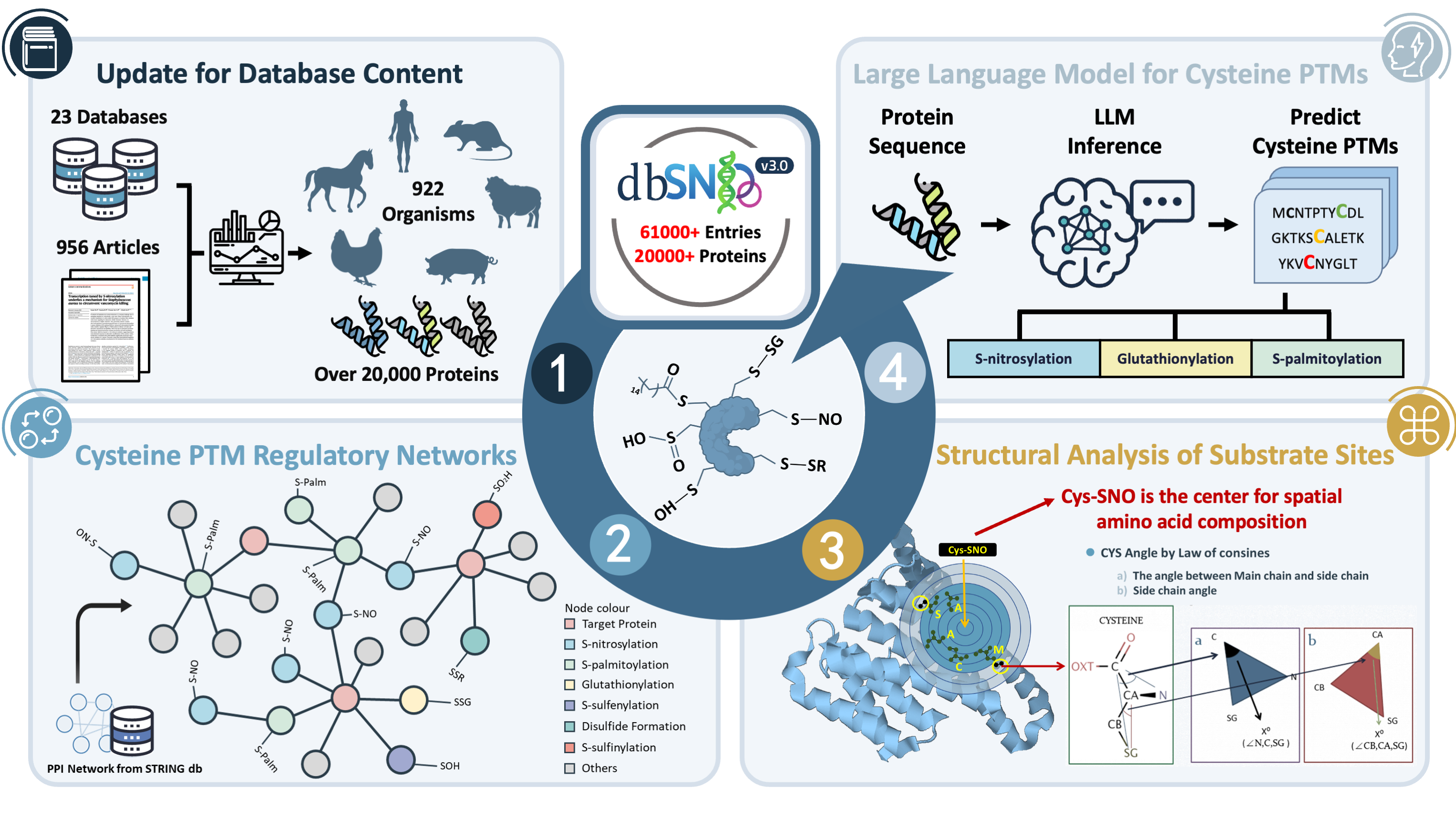 Integrated framework of dbSNO 3.0