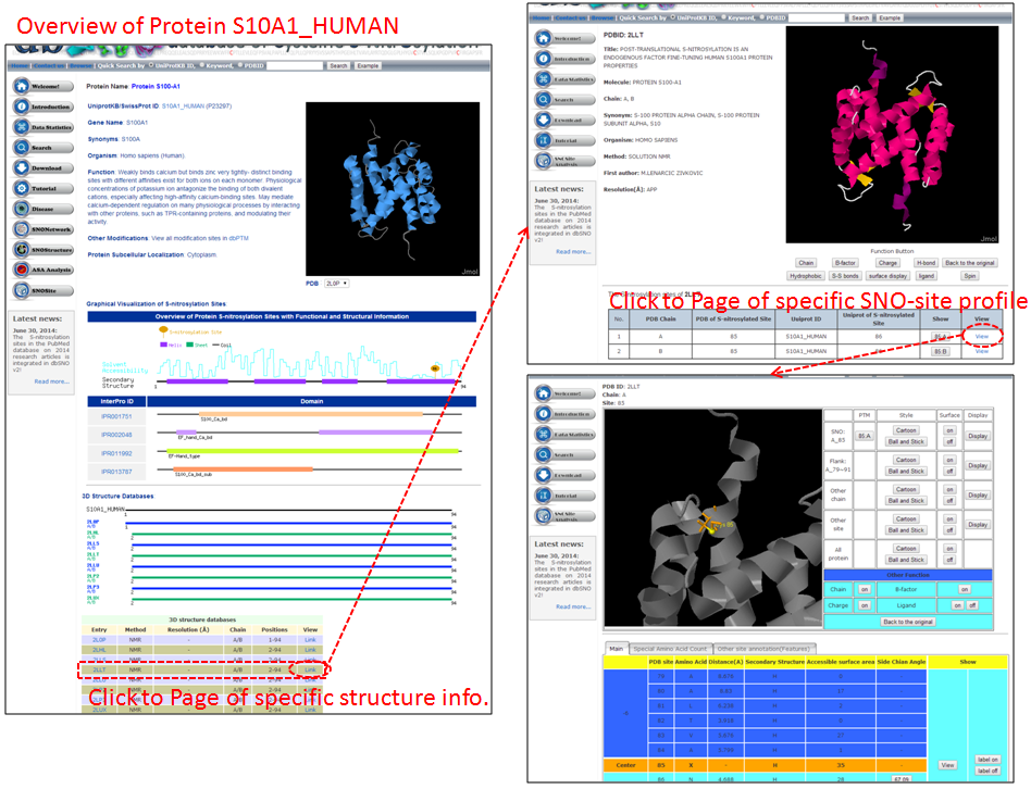 SNO Site Structure Overview